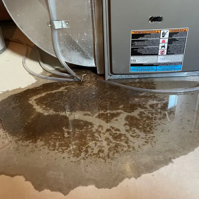 Pipe Burst and Leak Restoration in London, KY